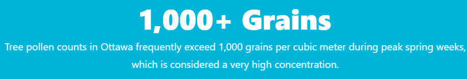 Spring Pollen Statistics